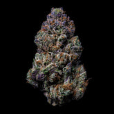 Runtz OG THCA Flower